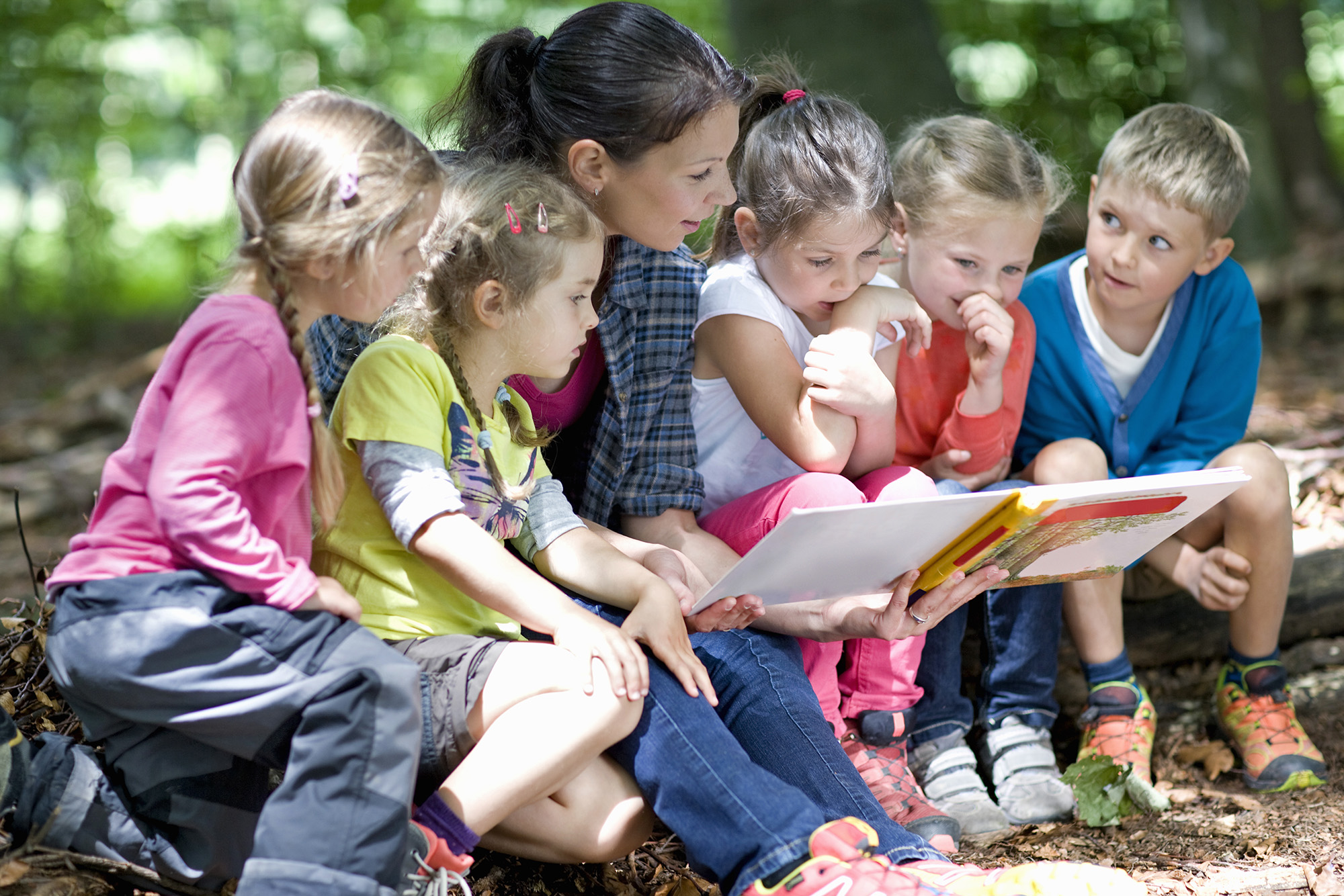 Forest school